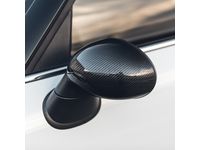 Door Mirror Cover