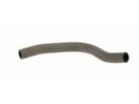 Acura 19506-RL5-A01 Water Hose (Lower)