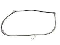 Acura 72310-TJB-A01 Front Right Door Weatherstrip