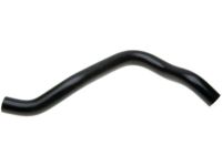 Acura 19502-RYE-A10 Water Hose (Lower)