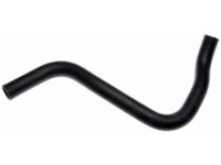 Acura 19502-RDA-A50 Radiator Coolant Hose (Lower)