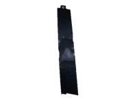 Acura 72430-TL0-003 Right Front Door Center Pillar Garnish