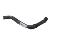 Acura 19502-RYE-A00 Water (Lower) Hose