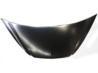 Acura TL Hood - 60100-SEP-A90ZZ Engine Hood Gray