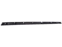 Acura 75332-TX4-A01 Left Front Door Lower Garnish Molding