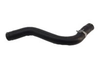 Acura 19501-RWC-A00 Upper Radiator Hose