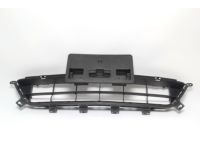 Acura 71103-SEA-000 Front Bumper Grille (Lower)