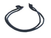 Acura 72310-SL0-023 Passenger Side Door Weatherstrip (Lower)