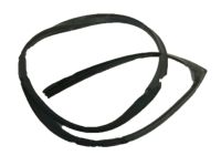 Acura 72365-S6M-003 Left Front Door Sub-Seal