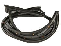 Acura 72350-TX4-A01 Left Front Door Weatherstrip