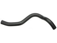 Acura 19502-P8E-A00 Water Hose (Lower)