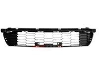 Acura 71107-TL0-G50 Front Bumper-Grille-Lower