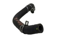 Acura 19521-R9P-A00 Water Hose