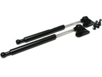 Acura 74820-SL0-315 Rear Glass Engine Lid Dampers Struts