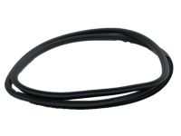 Acura 72325-SEA-033 Right Front Door Sub-Seal