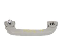 Acura 83240-SNA-A01YA Grab Rail Assembly (Sandstorm)