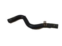 Acura 19515-PRB-A00 Engine Coolant Hose