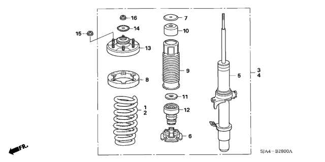 Front Shock Absorber - 2006 Acura RL 4 Door RL KA 5AT