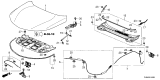 Diagram for Acura Hood Cable - 74132-TJB-A01