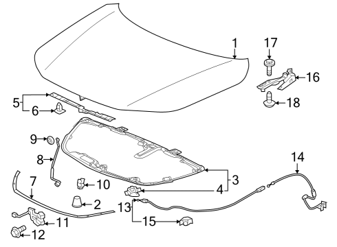 2023 Acura Integra Stay, Hood Open Diagram for 74145-T20-A00