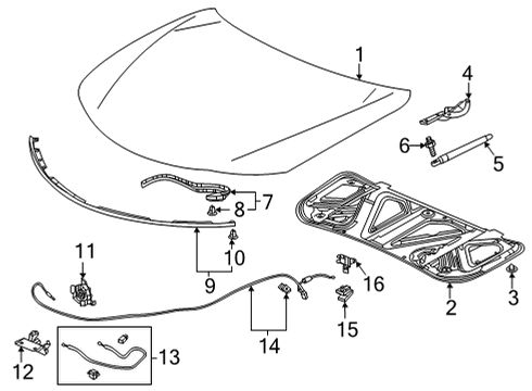 2021 Acura TLX Wire Assembly , Hood Diagram for 74130-TGZ-A01