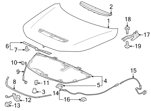 2024 Acura Integra Hood, Engine Diagram for 60100-31M-A00ZZ