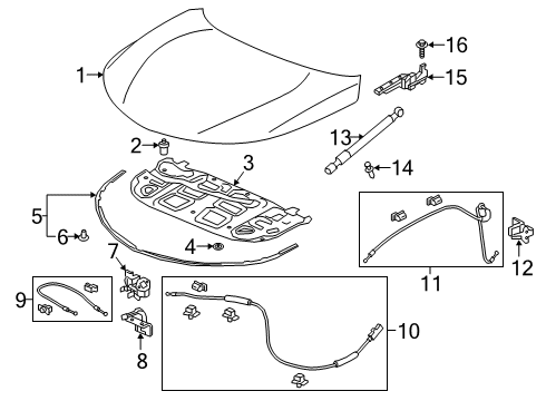 2024 Acura RDX Hood & Components Diagram