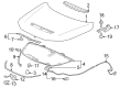 Diagram for 2024 Acura Integra Hood - 60100-31M-A00ZZ