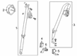 Diagram for 2023 Acura RDX Seat Belt - 04828-TJB-A20ZB