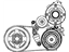 Acura 31110-5G0-A01 Alternator Belt (Bando)