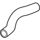 Acura 19501-66V-A00 Hose, Water (Upper)